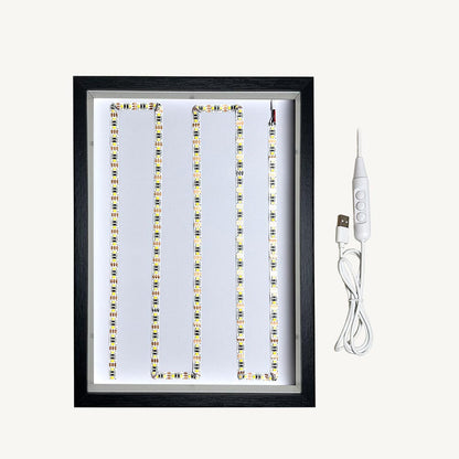LED Frame Accessory